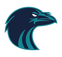 Auburn Riverside High School Football