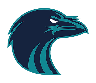 Auburn Riverside High School Football