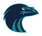 Auburn Riverside High School Football