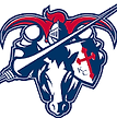 Auburn Riverside High School Football