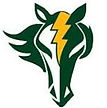 Auburn Riverside High School Football
