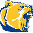 Auburn Riverside High School Football